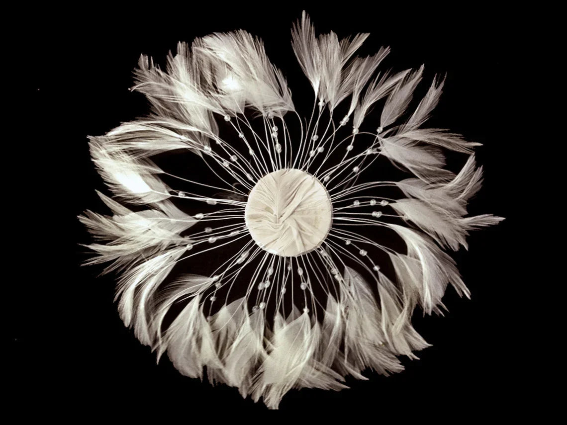 Elegant white feather hair accessory arranged in a circular floral design on black background.