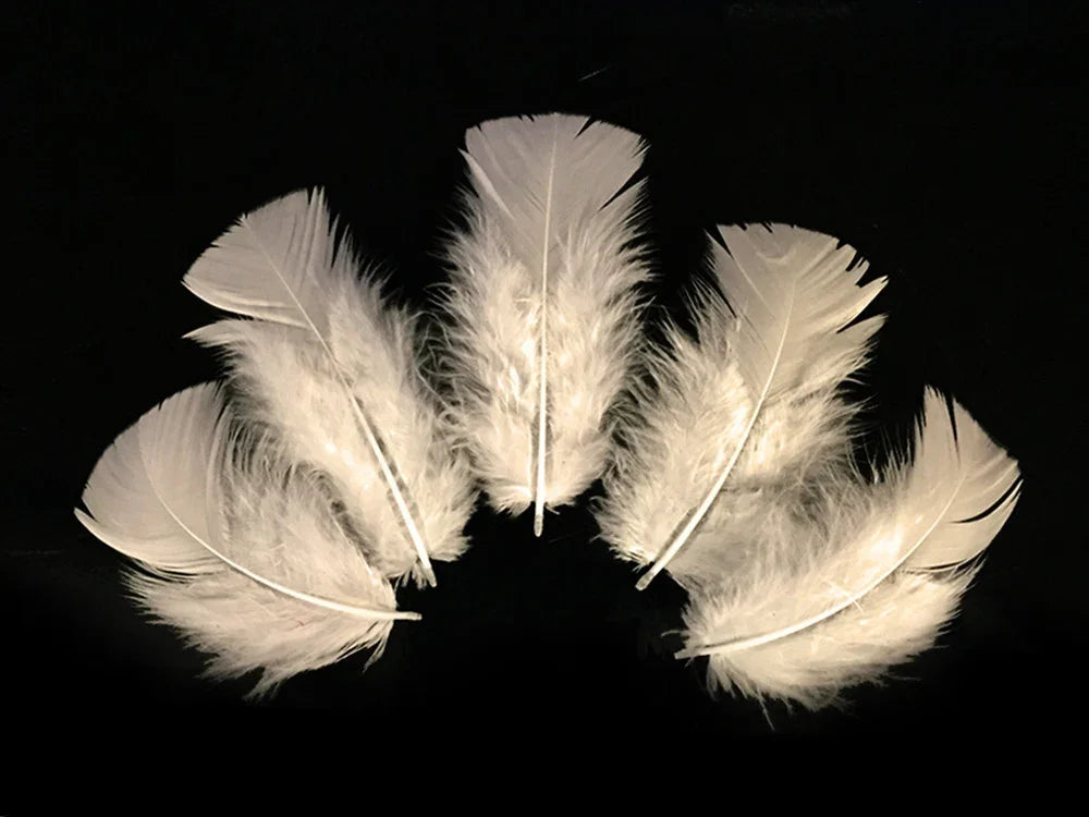 Five soft white craft feathers arranged in a fan shape against a black background.
