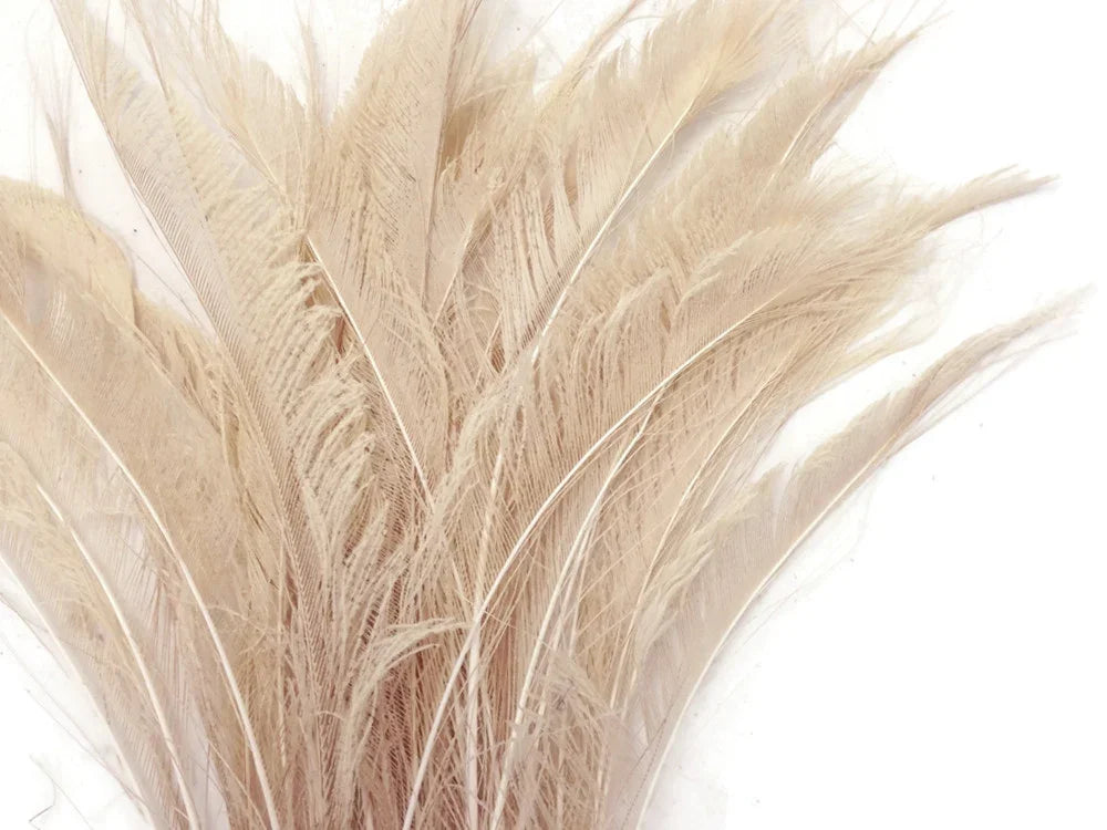 Natural beige ostrich feathers for DIY crafts and fashion decor.
