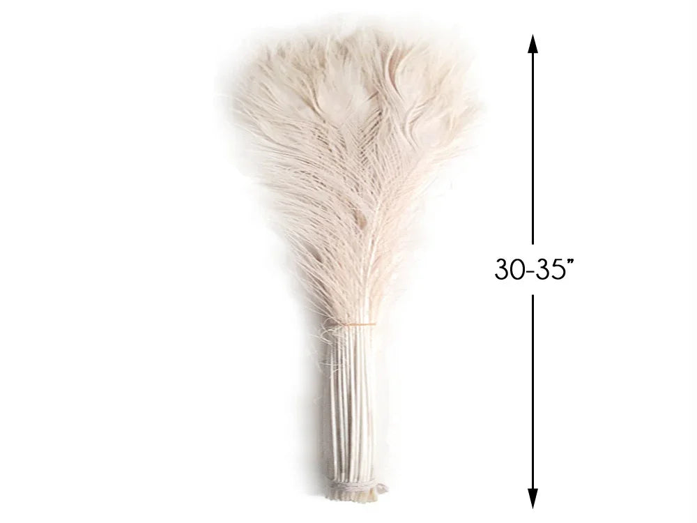 Bundle of long cream-colored decorative feathers, 30-35 inches in length for DIY crafts.