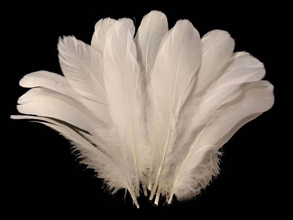 Large white ostrich feathers for DIY crafts, fashion, and décor against a black background.