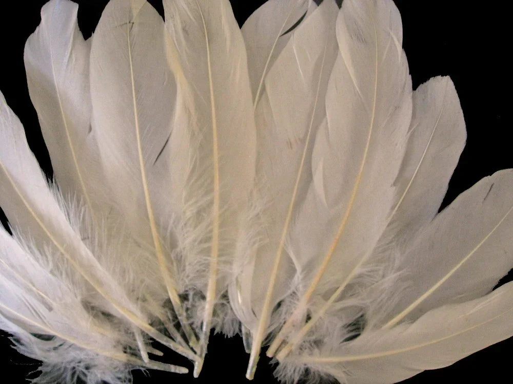 Natural white feathers for DIY crafts and fashion accessories on a black background.