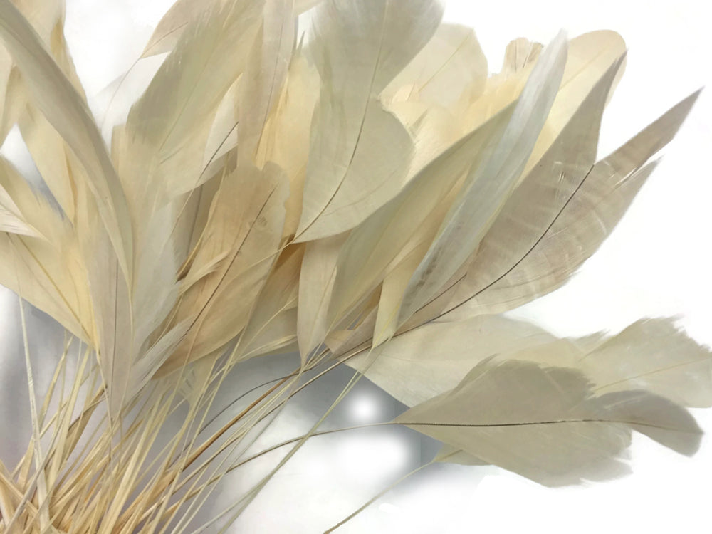 1 Yard - Ivory Stripped Coque Tail Feathers Wholesale Trim (Bulk)