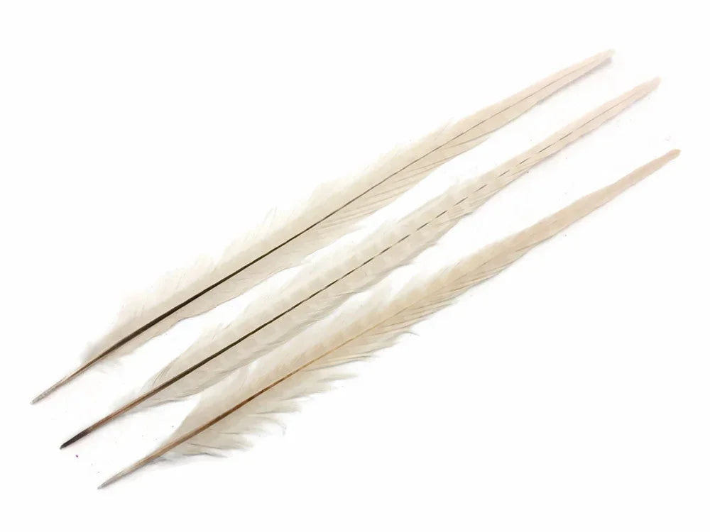 Three long cream-colored natural feathers for DIY crafts and fashion decor.
