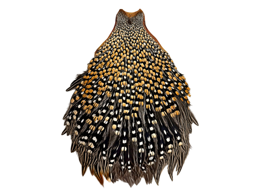 1 Piece - Grade A Natural Gold Jungle Cock Cape Complete Skin Pelt With Feather (bulk)