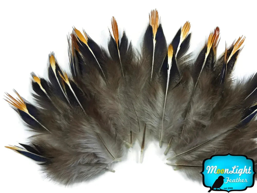 Natural brown and black feathers with vibrant orange tips for crafts and fashion DIY.