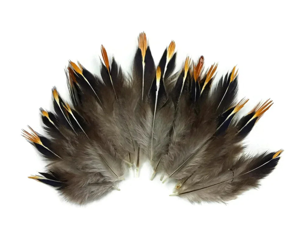 Natural brown and black feathers with orange tips for DIY crafts and fashion decor.