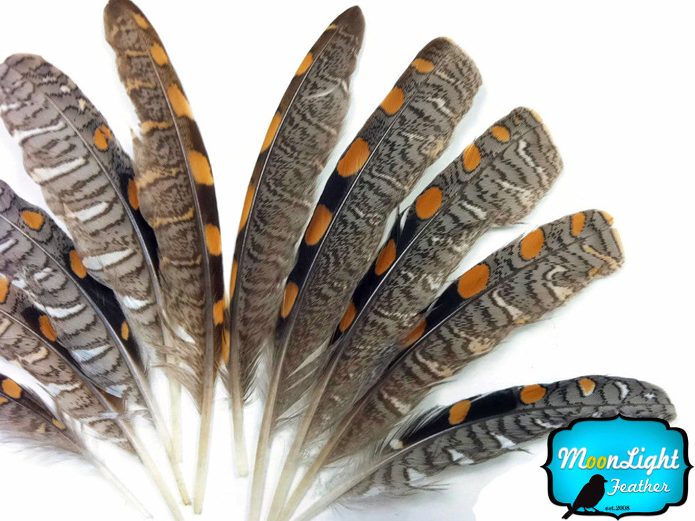 10 Pieces - Natural Jungle Cock Small Wing Feathers