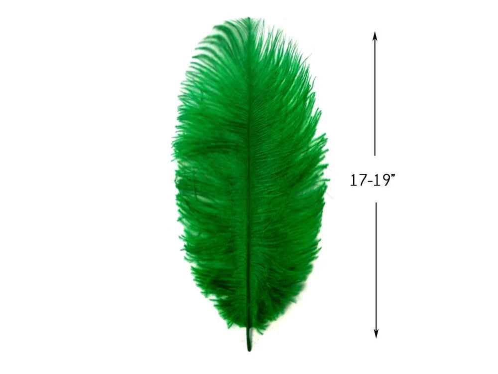 Vibrant green ostrich feather for crafts and fashion decor, 17-19 inches long.