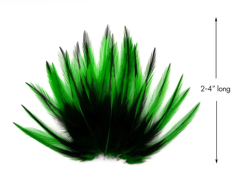 Vibrant green and black feathers for crafts and fashion, 2-4 inches long.