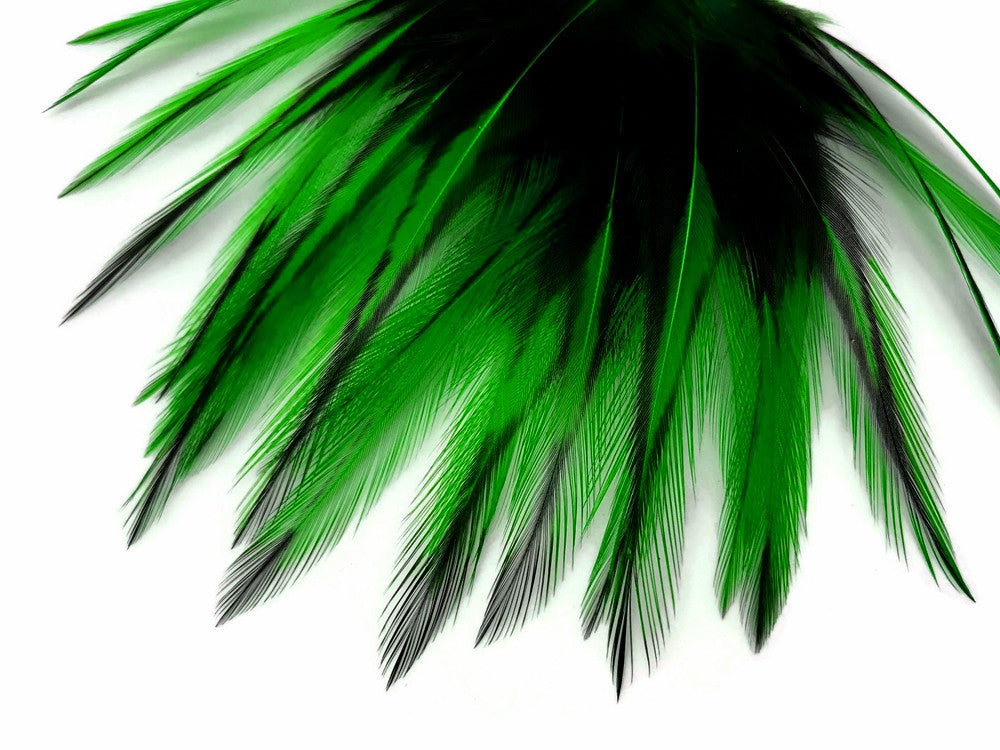 10 Pieces - Kelly Green Dyed BLW Laced Short Rooster Cape Whiting Farms Feathers