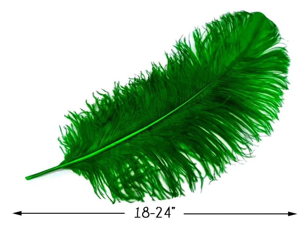 Large vibrant green ostrich feather for crafts and DIY decor, 18-24 inches long.