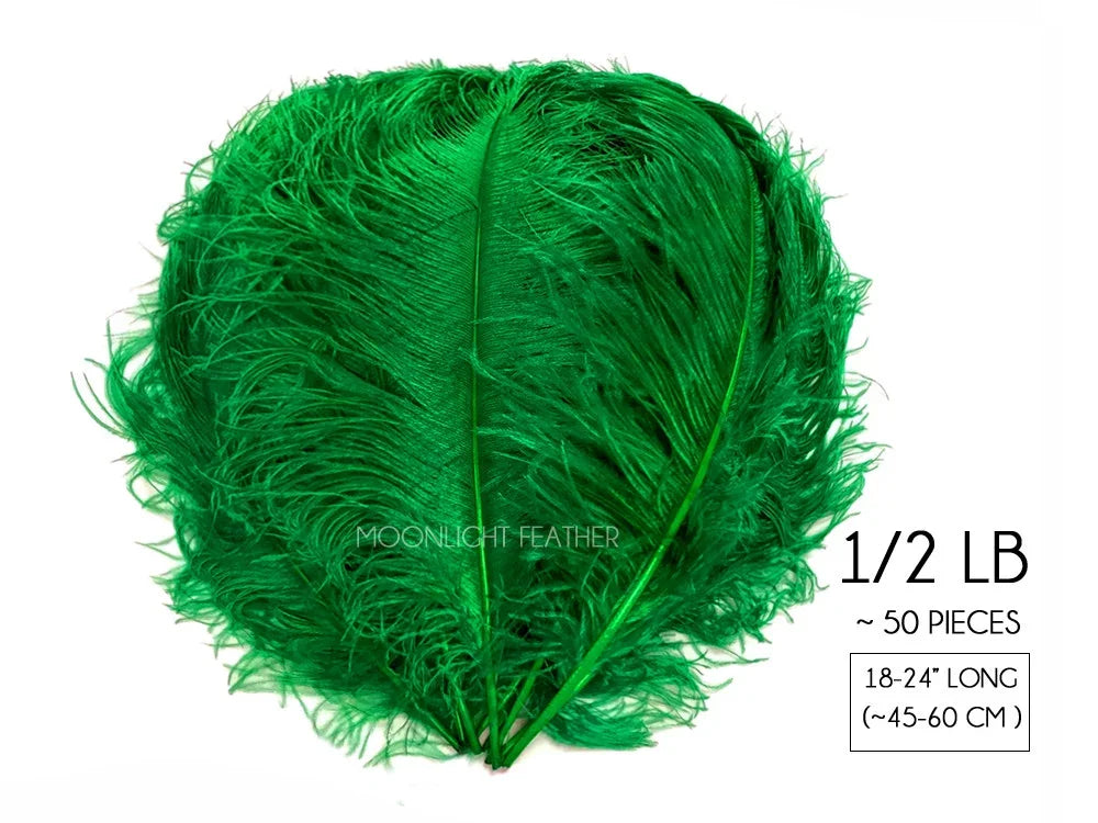 Bundle of 50 vibrant green ostrich feathers, 18-24 inches long, for DIY crafts and fashion.
