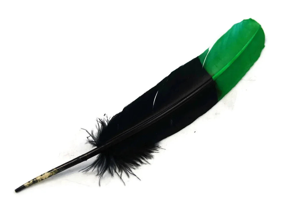 Black and green decorative feather for DIY crafts and fashion accessories