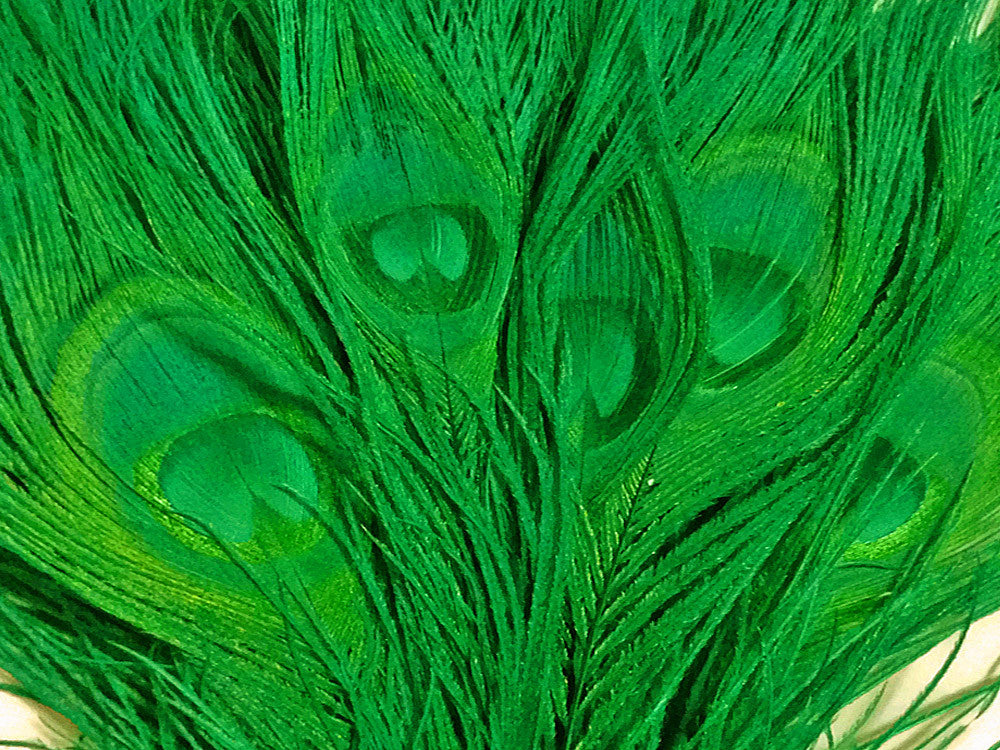 5 Pieces – Kelly Green Bleached & Dyed Peacock Tail Eye Feathers 10-12” Long