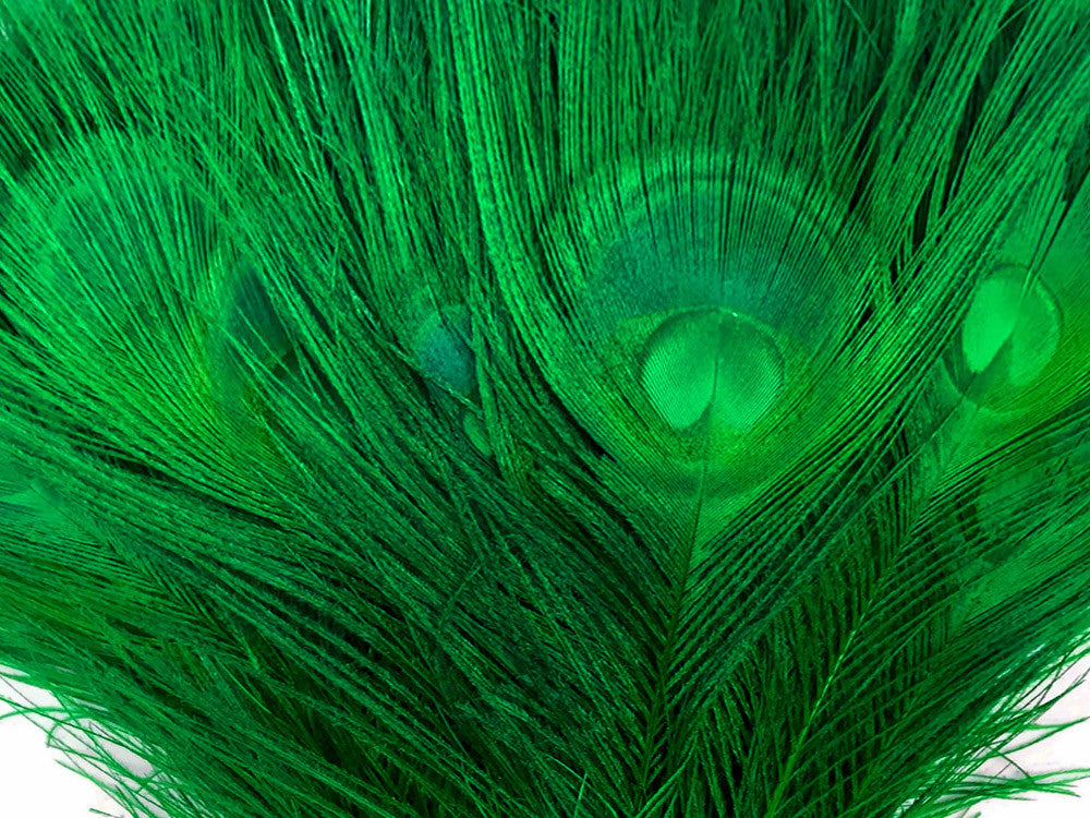 50 Pieces - 30-35" Kelly Green Bleached & Dyed Peacock Tail Eye Wholesale Feathers (Bulk)
