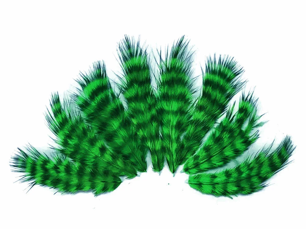 Vibrant green and black striped decorative feathers for crafts and fashion DIY.