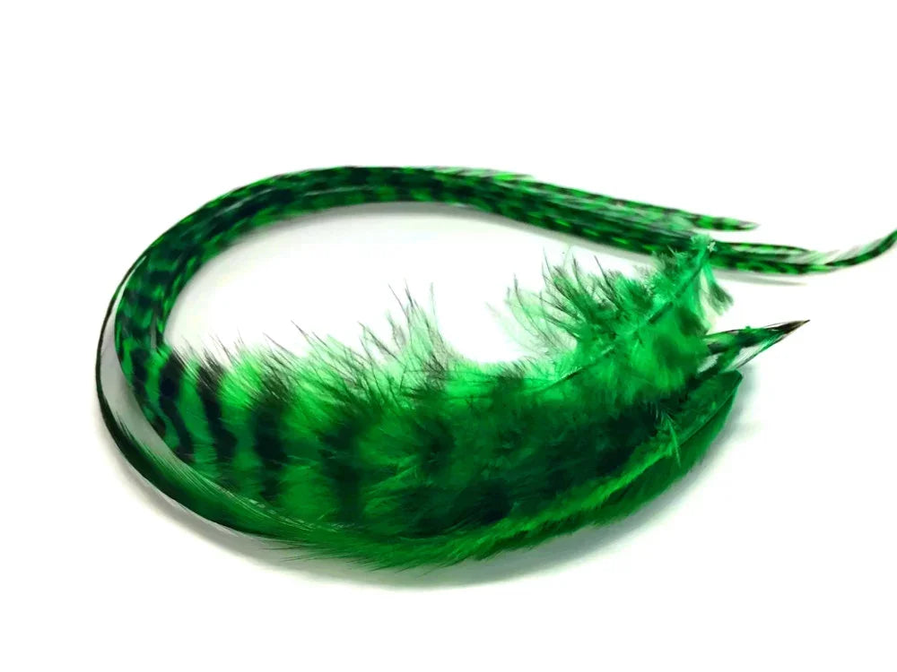 Vibrant green and black striped feathers for DIY crafts and fashion décor.