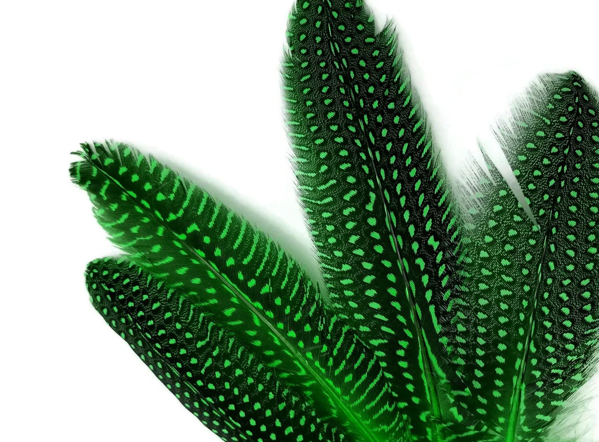 Vibrant green speckled feathers for craft and fashion DIY supplies.