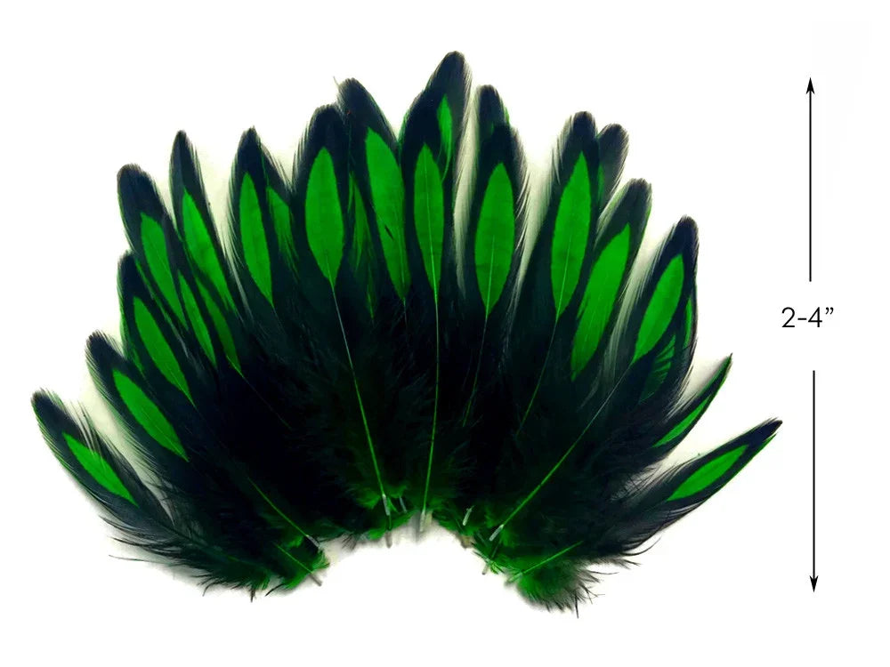 Vibrant green and black iridescent feathers for DIY crafts and fashion decor, 2-4 inches.