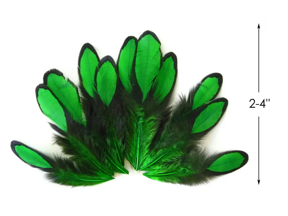 Vibrant green and black feathers for crafts and fashion, 2-4 inches long.