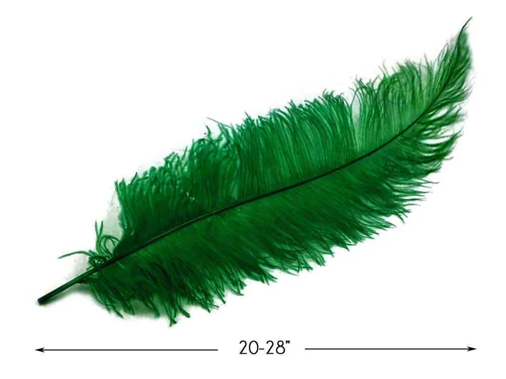 Large vibrant green ostrich feather for DIY crafts and fashion decor, 20-28 inches long.