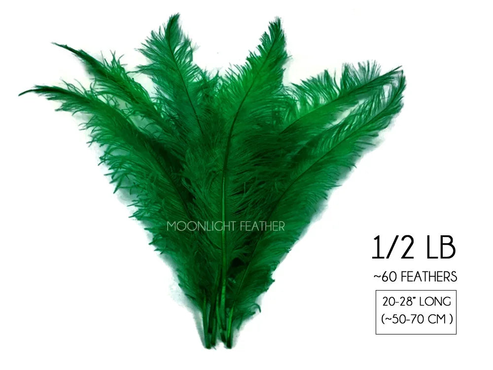 Bundle of 60 vibrant green ostrich feathers, 20-28 inches long for crafts and decor.