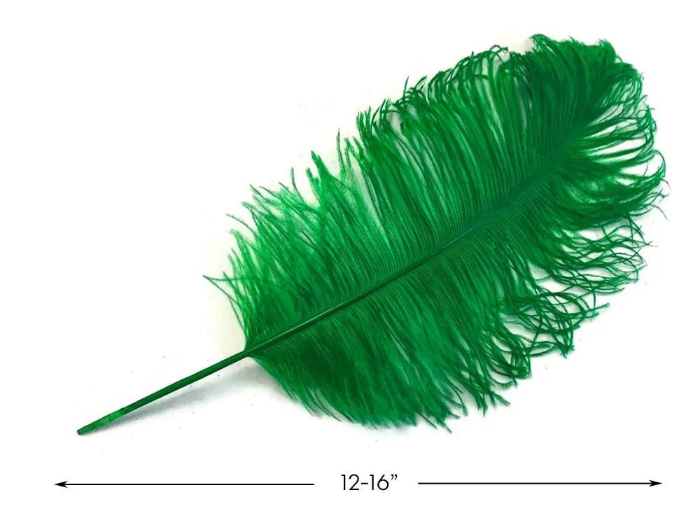 Large vibrant green ostrich feather for crafts and fashion decor, 12-16 inches.