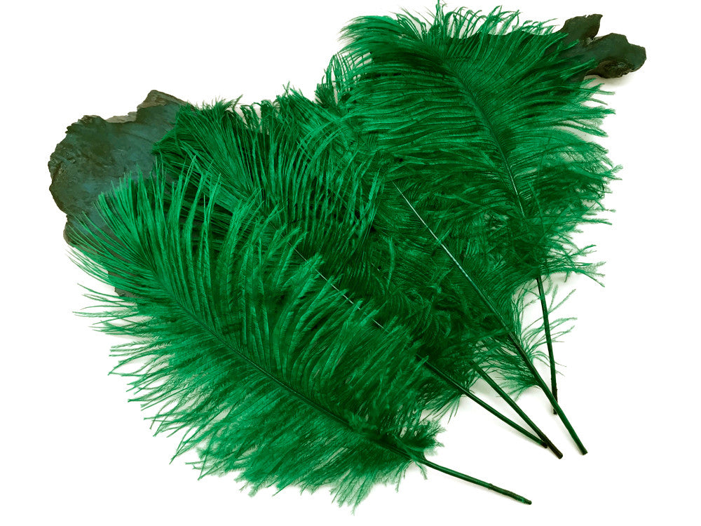 10 Pieces - 12-16" Kelly Green Dyed Ostrich Tail Fancy Feathers