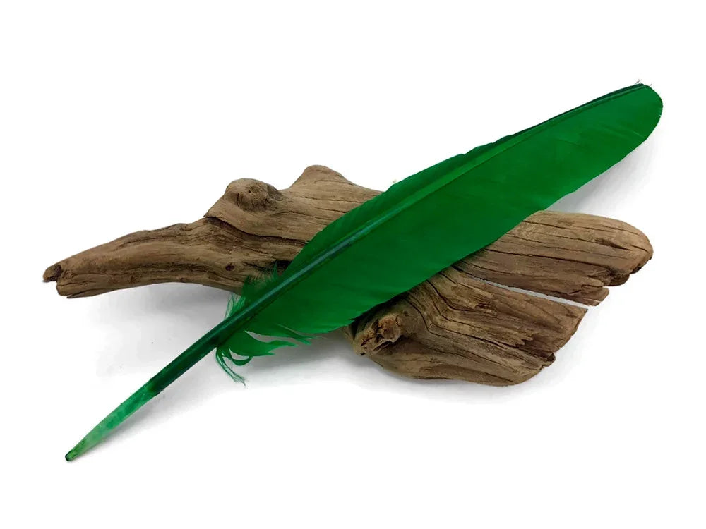 Vibrant green feather resting on a piece of natural driftwood on a white background.