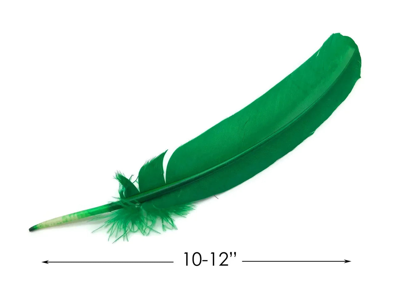 Vibrant green craft feather, 10-12 inches long, for DIY fashion and décor projects.