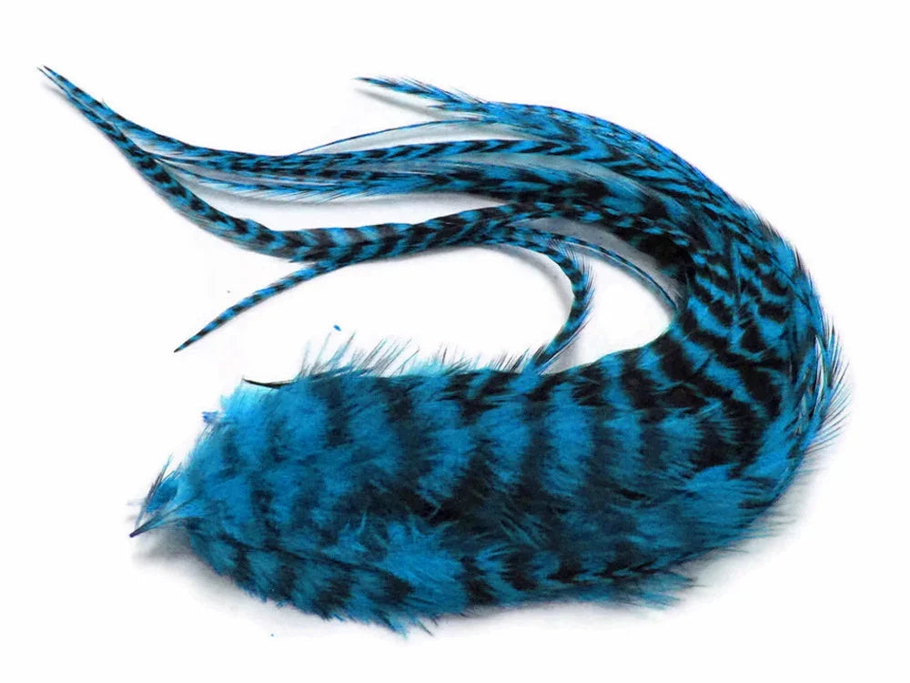 Vibrant blue and black patterned feathers for DIY crafts and fashion accessories.
