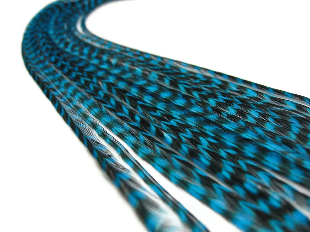 Vibrant blue and black patterned feathers for DIY crafts and fashion accessories.