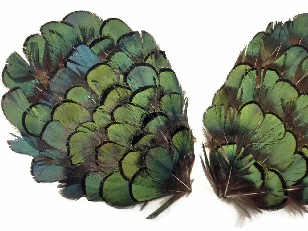 Iridescent green and teal peacock feathers for DIY crafts and fashion decor.