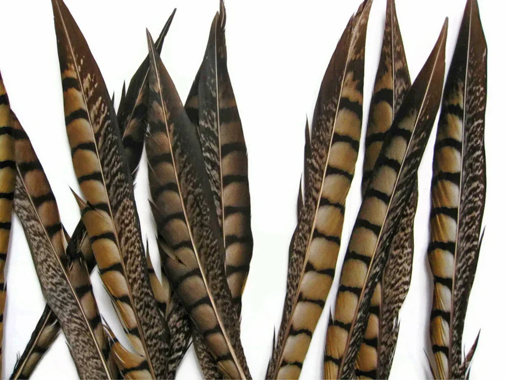 Natural brown and tan striped pheasant feathers for DIY crafts and fashion decor.