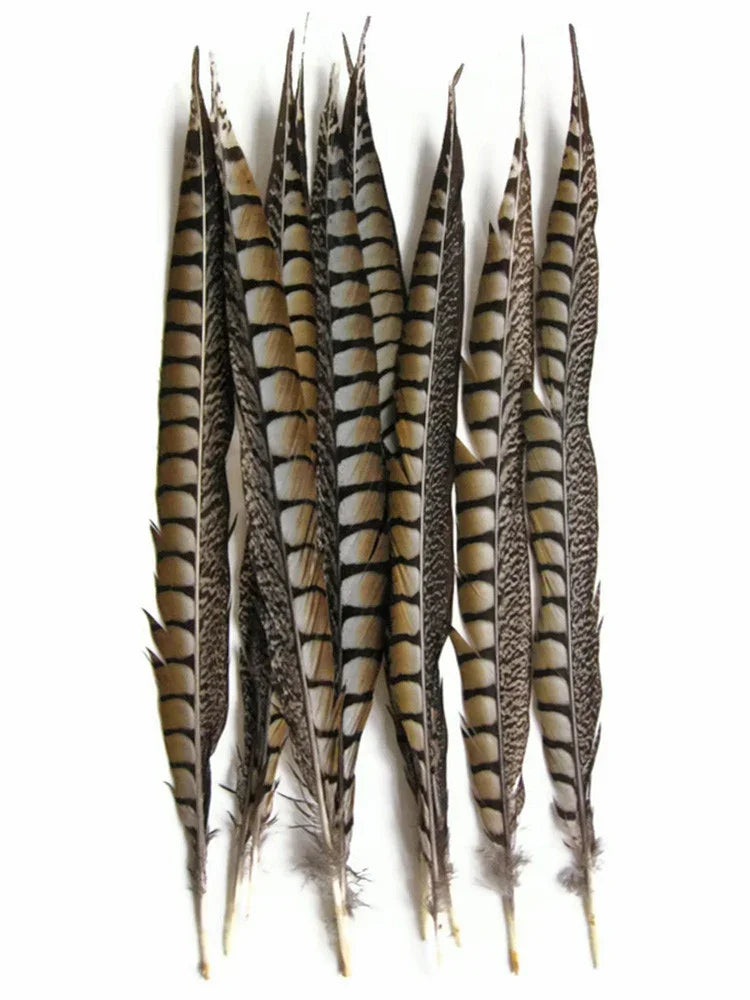 Natural striped pattern feathers for DIY crafts and fashion decor.
