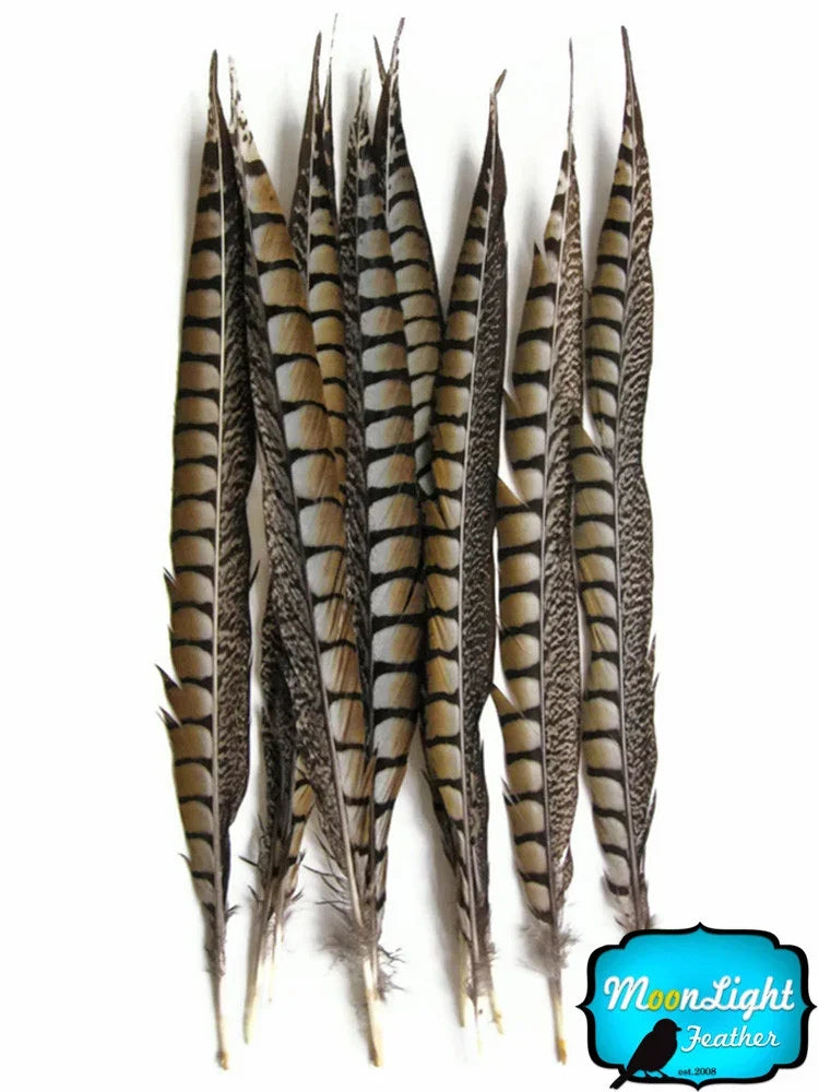 Natural patterned pheasant feathers for DIY crafts and fashion accessories.