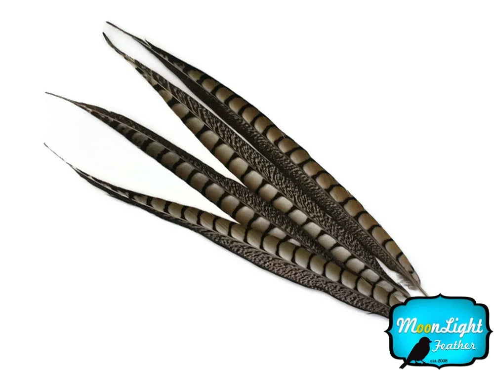 Long striped pheasant feathers for DIY crafts and fashion decor.