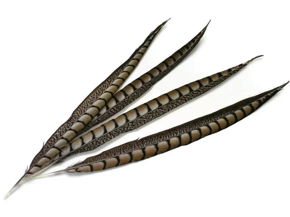 Four long striped pheasant feathers for DIY crafts and fashion decor