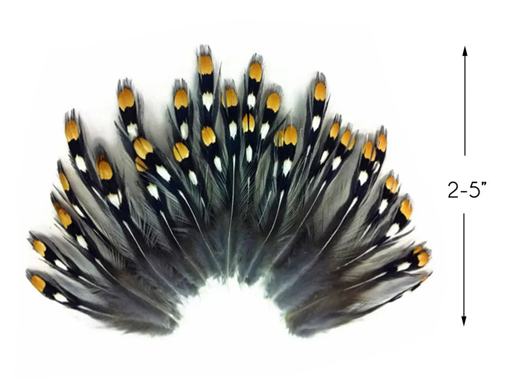 Black and white patterned feathers with orange tips for DIY crafts and fashion decor.