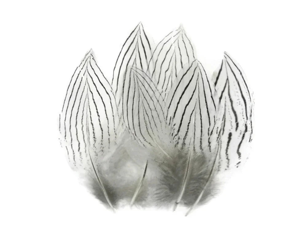 White feathers with black striped patterns for craft and fashion DIY supplies
