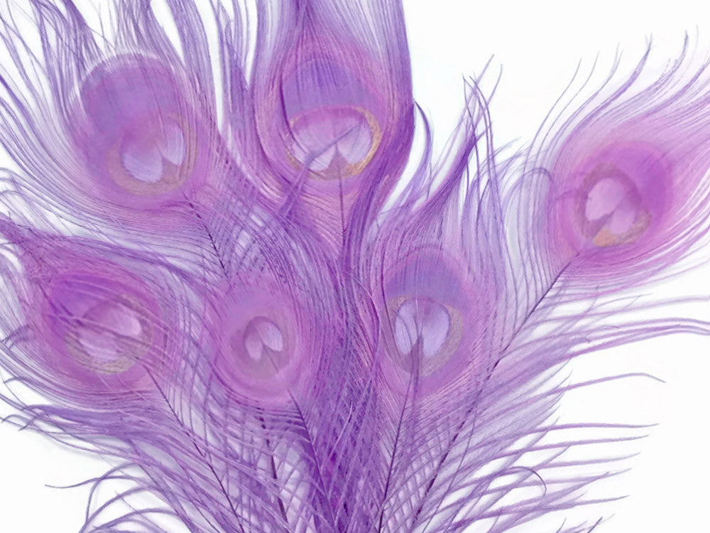 100 Pieces - Lavender Bleached & Dyed Peacock Tail Eye Wholesale Feathers (Bulk)