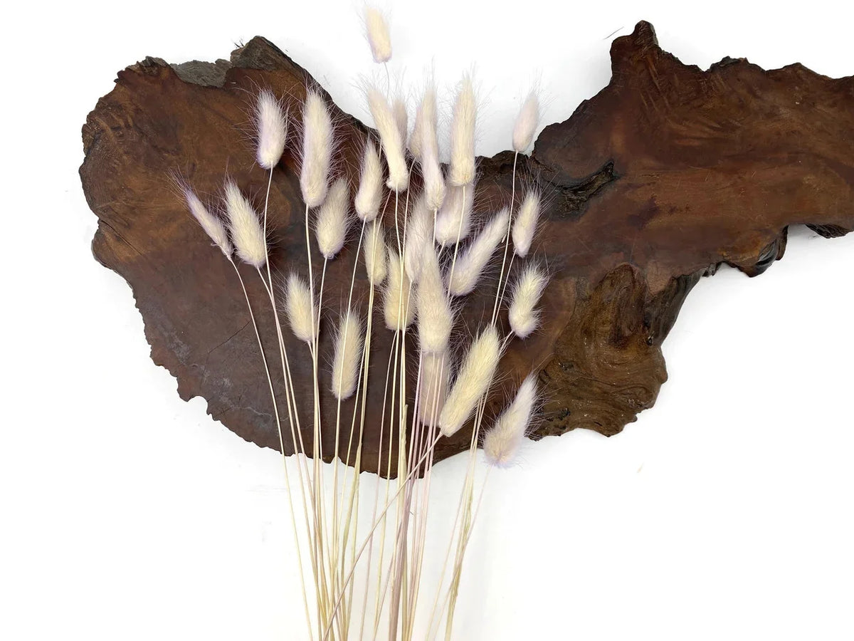 Dried white bunny tail grass stalks arranged against a dark rustic wood slice.