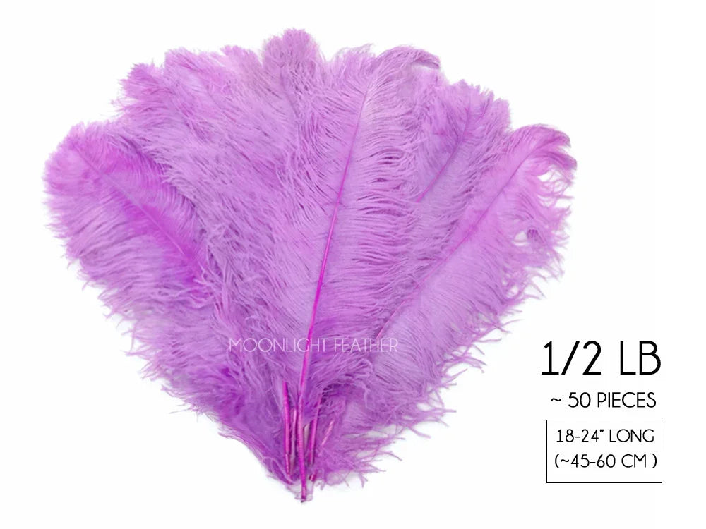 Bundle of 1/2 lb purple ostrich feathers for crafts, 18-24 inches long