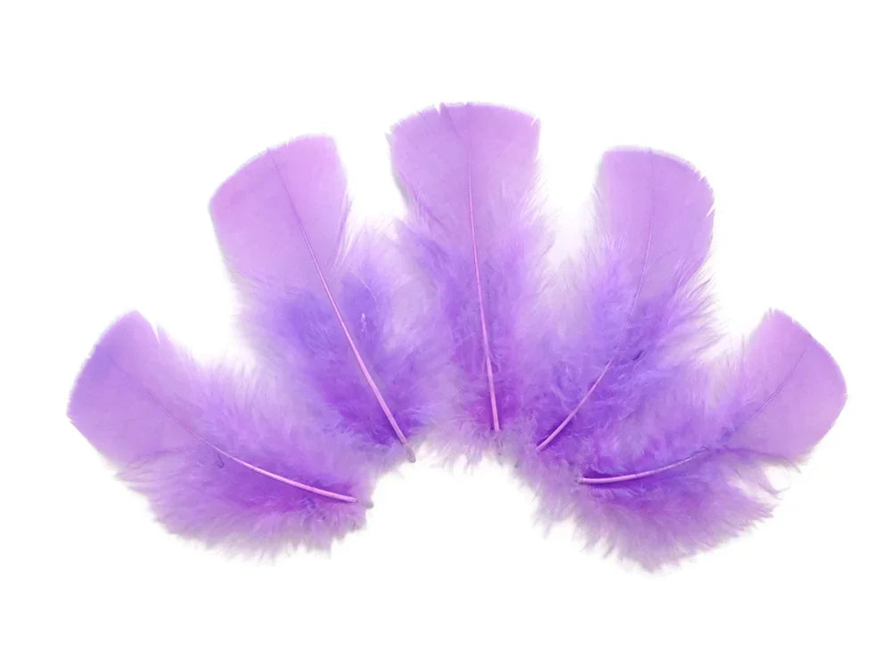 Five soft purple feathers arranged in a fan shape on a white background.