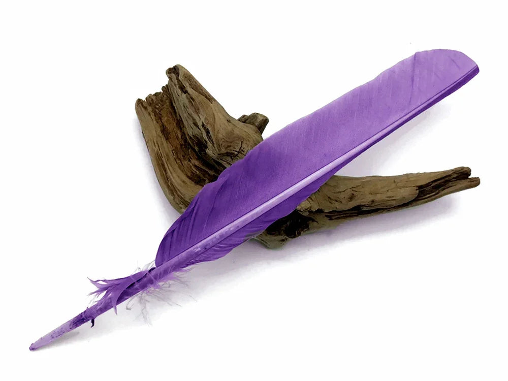 Vibrant purple dyed craft feather resting on a piece of natural driftwood.