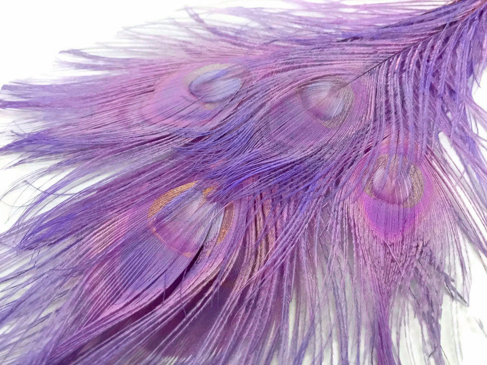 100 Pieces - Lavender Bleached & Dyed Peacock Tail Eye Wholesale Feathers (Bulk)
