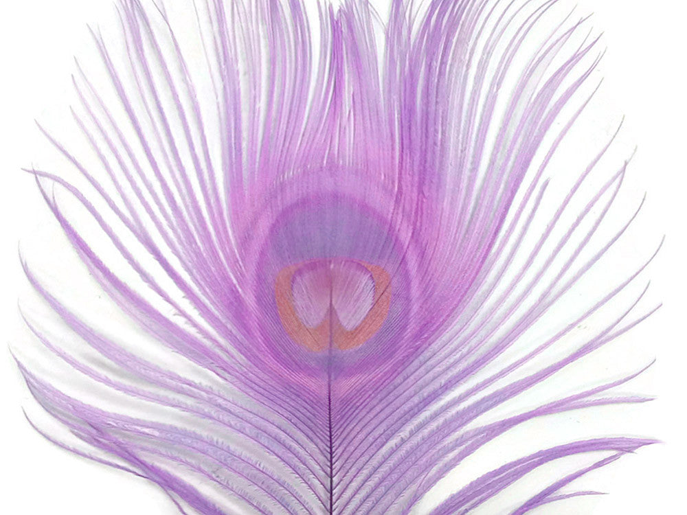 100 Pieces - Lavender Bleached & Dyed Peacock Tail Eye Wholesale Feathers (Bulk)
