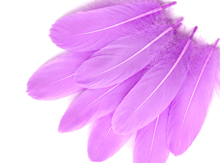 1/4 lbs. - Lavender Goose Satinettes Pallet Soft Wing Quill Wholesale Feathers (Bulk)