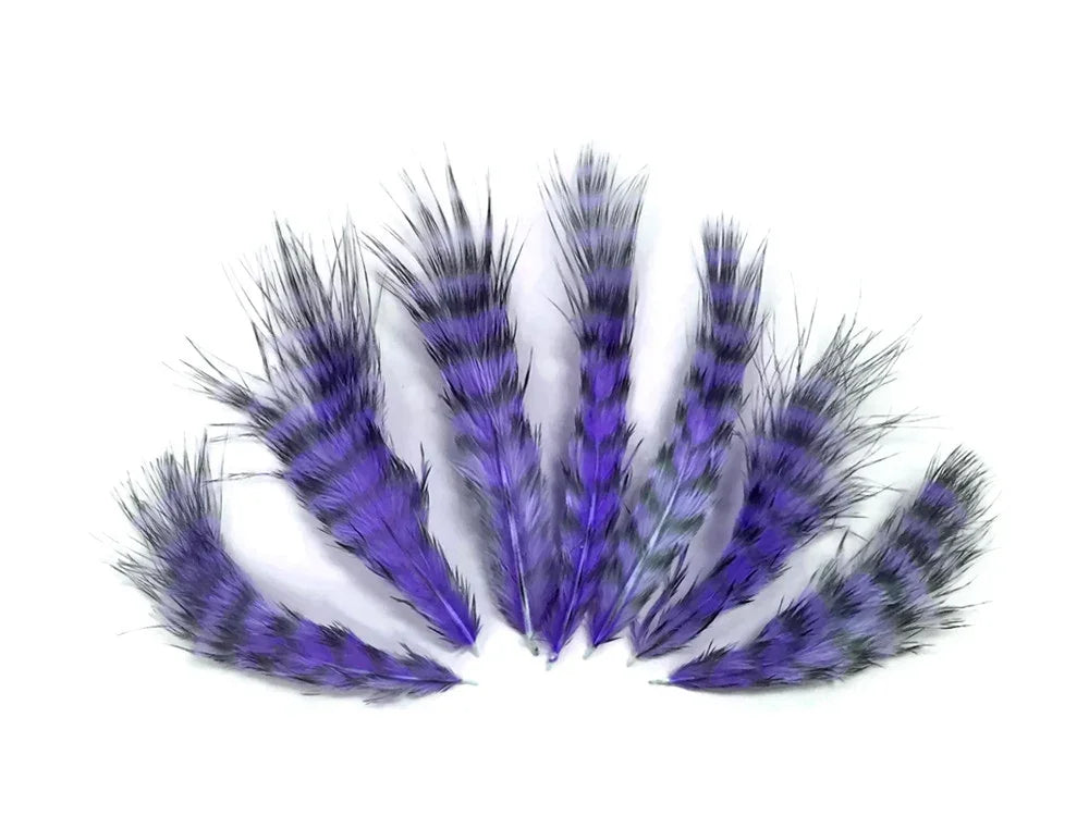 Set of vibrant purple and black striped craft feathers for DIY fashion and decor.